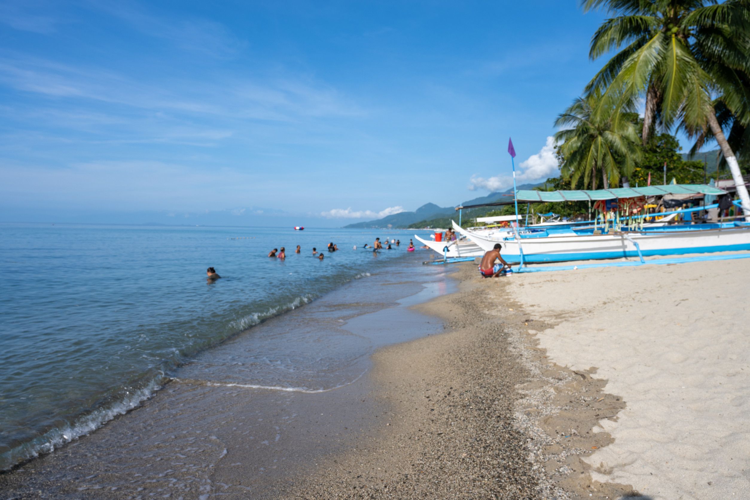 A tropical beach with palm trees, white sand, blue sky, and traditional fishing boats on the shore