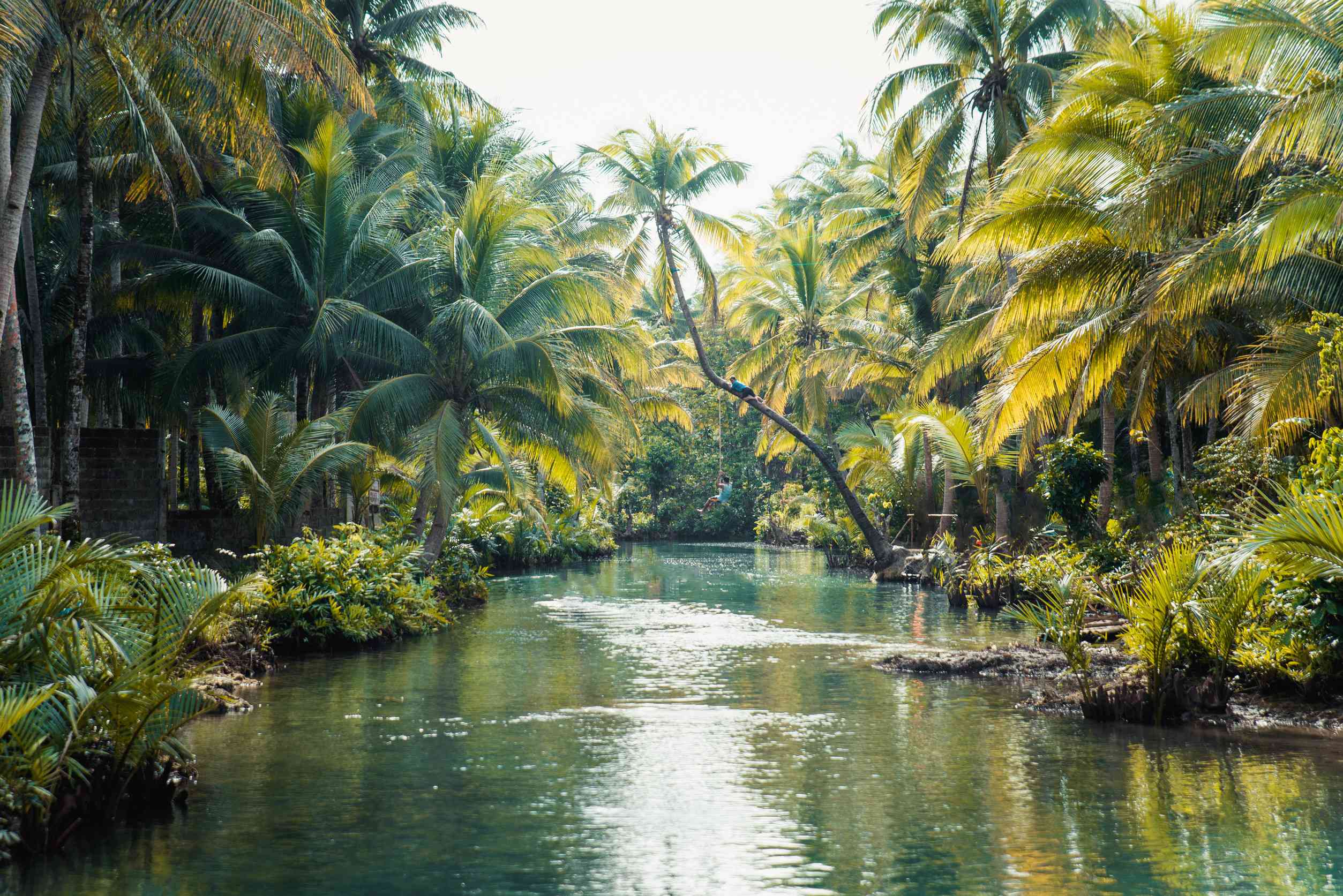 Maasin River in Siargao, Philippines