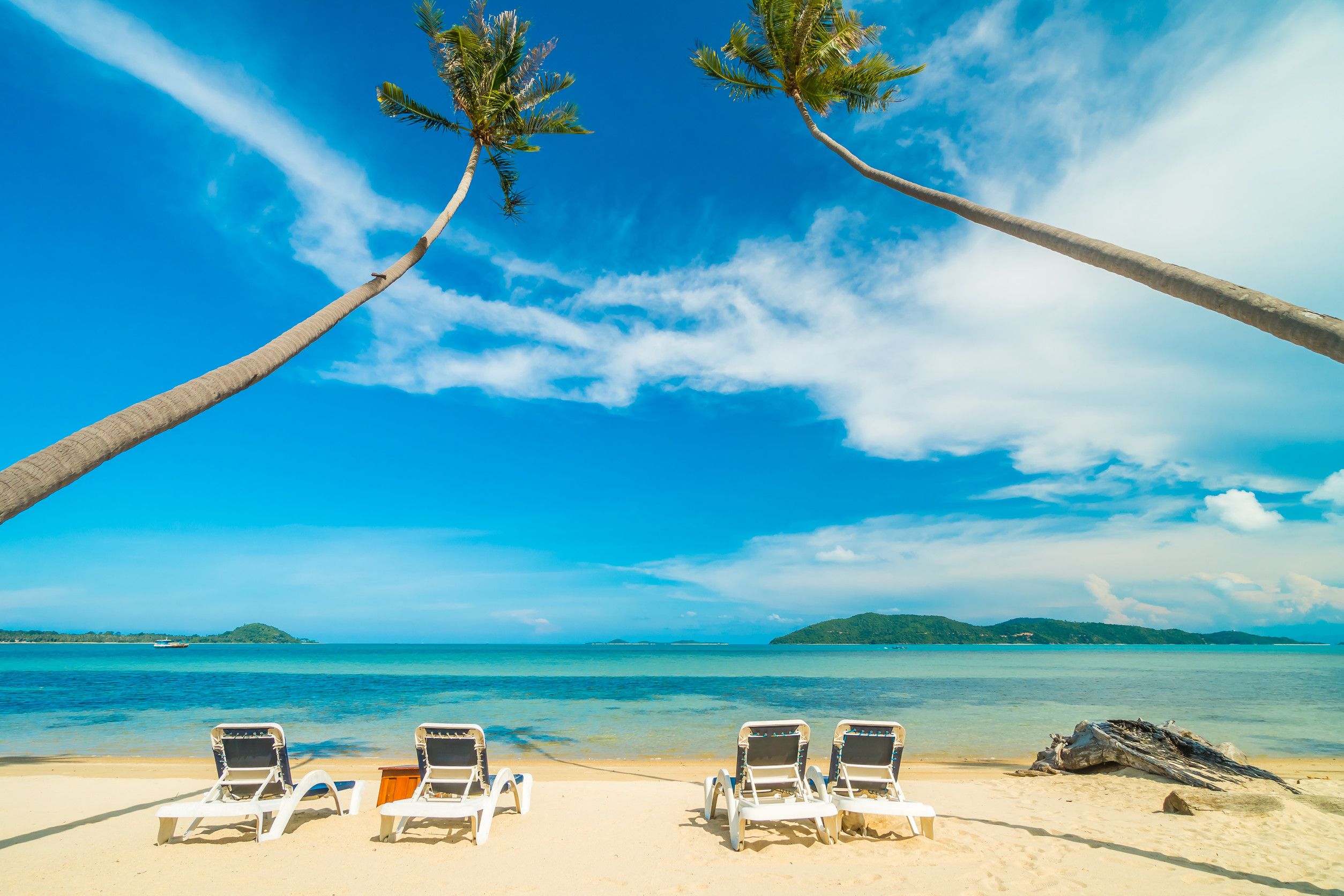 Palm trees on Palawan beach