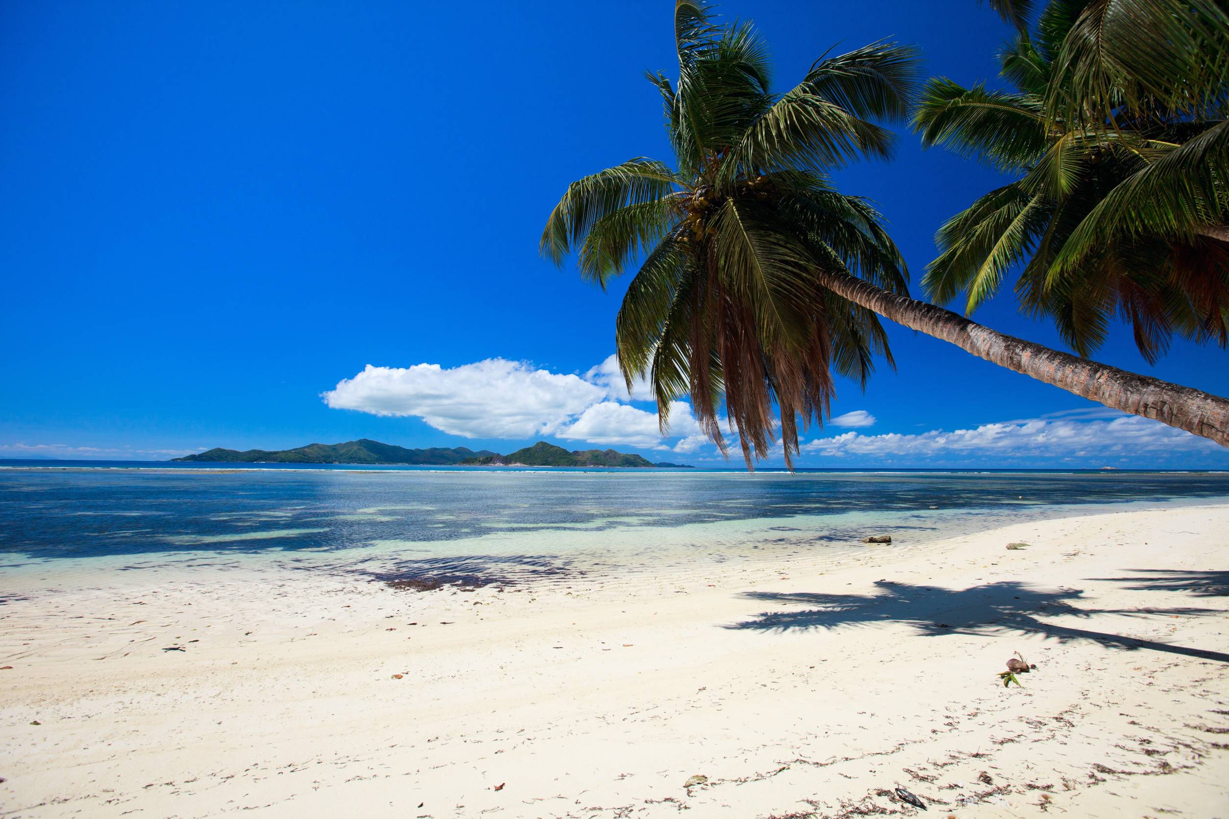 Seychelles With White Sand Turquoise Waters Palm Trees And Blue Sky