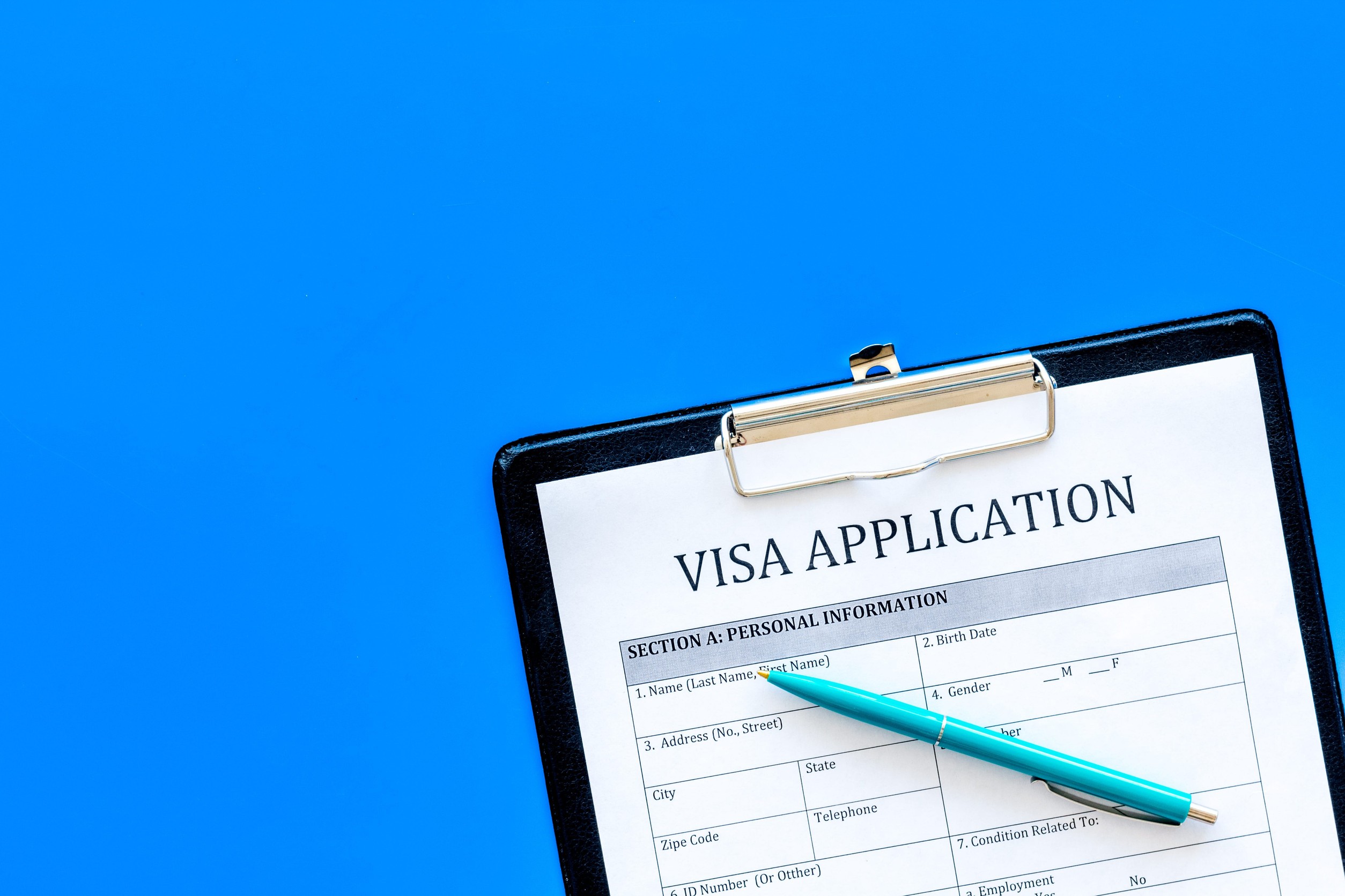 Visa Application Form With Blue Pen